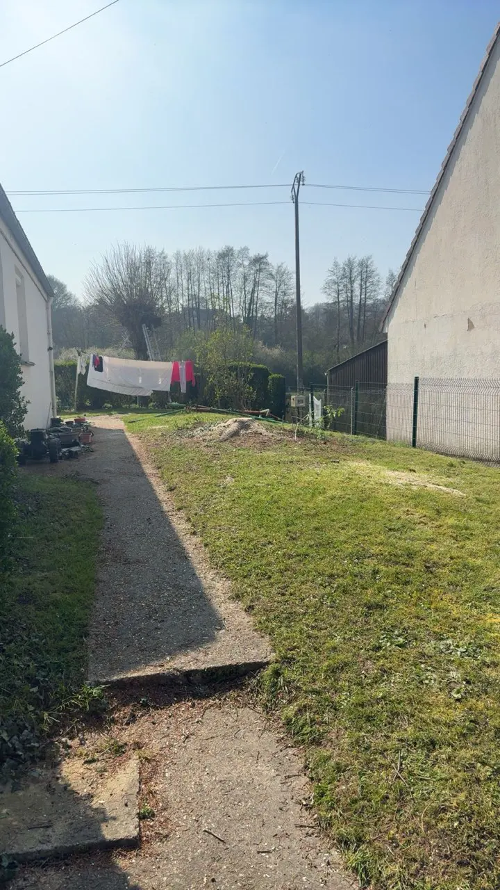 La même allée après l'abattage, la pelouse dégagée